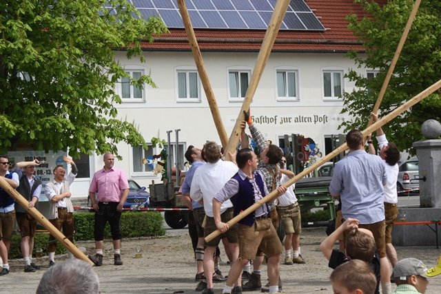 Maibaum 2013